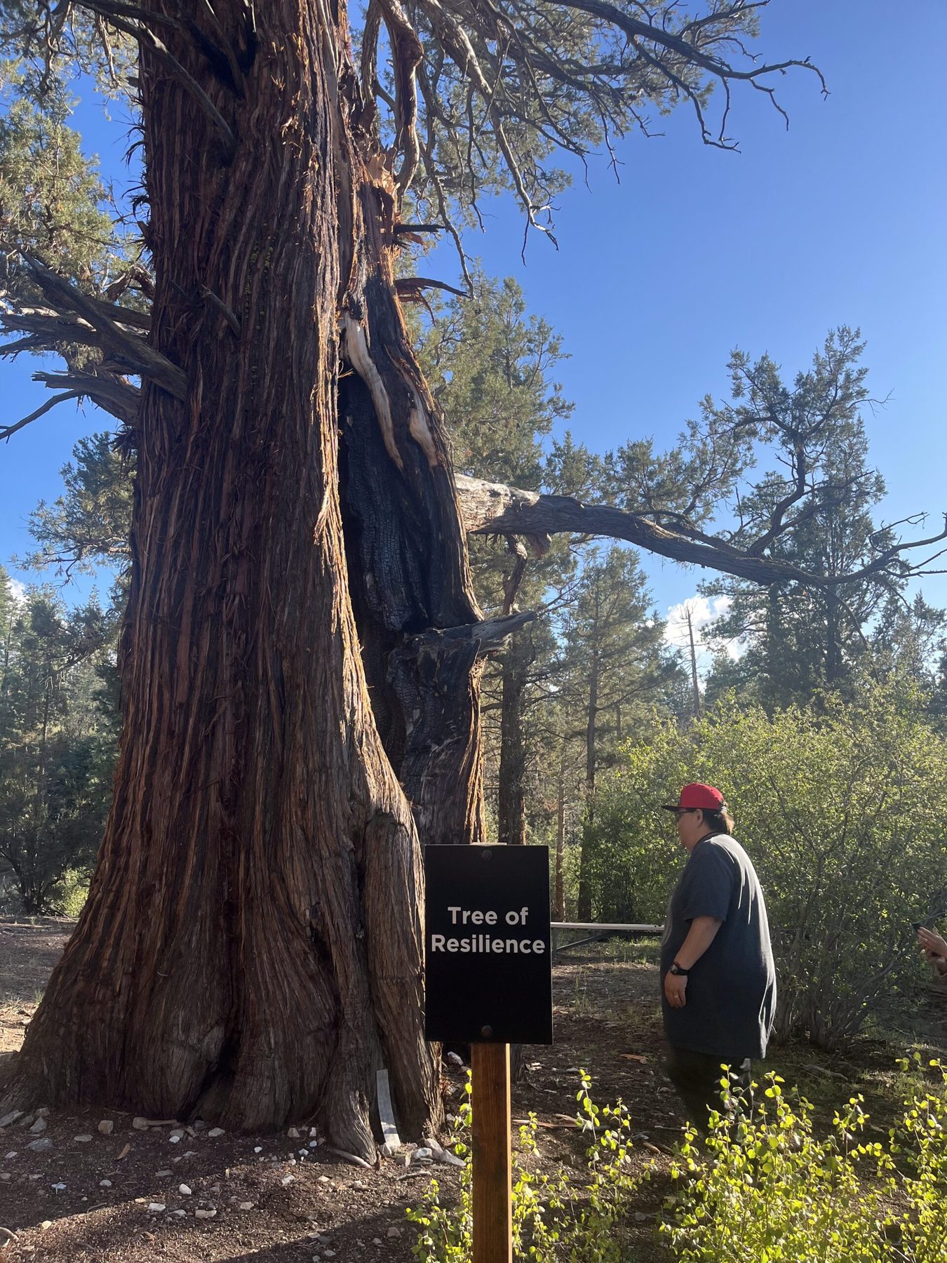 TPW Directors Retreat at Big Bear